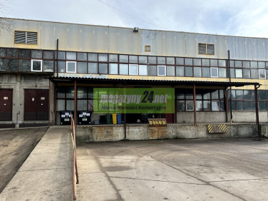 Budynek użytkowy Warszawa