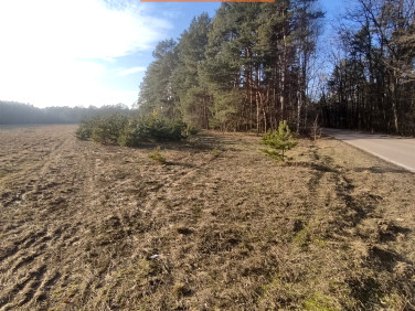 Działka rolna Obrąb