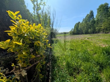 Działka Gorzelnia