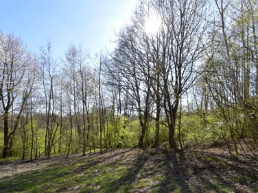 Działka Kraczkowa