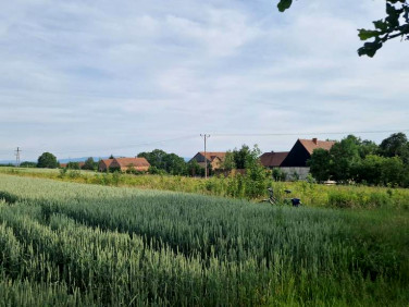 Działka budowlana Siekierczyn
