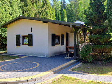 Działka rekreacyjna Sławienko