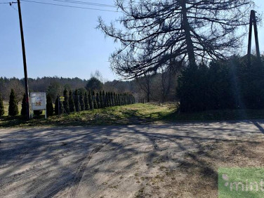 Działka siedliskowa Wierzchęcino