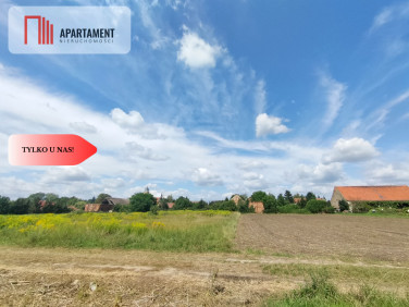 Działka Kryniczno