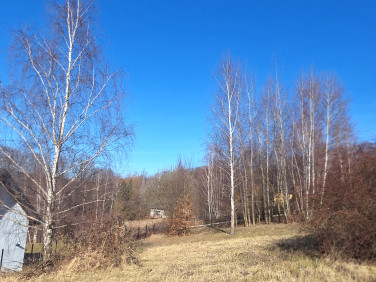 Działka budowlana Chełmiec