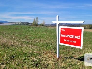 Działka budowlana Gryfów Śląski