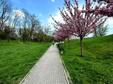 Mieszkanie apartamentowiec sprzedaż