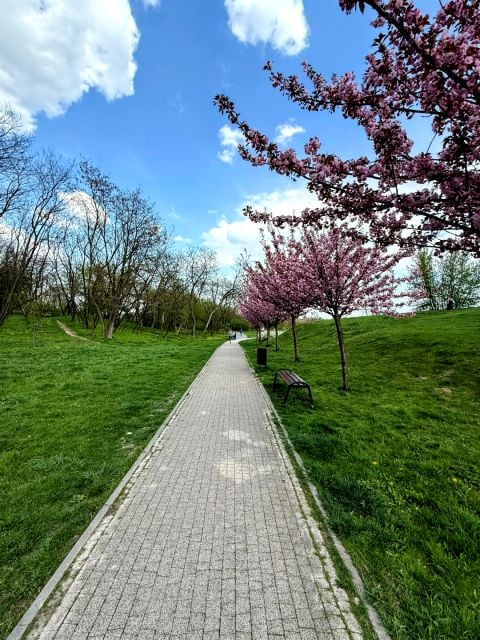 Mieszkanie apartamentowiec sprzedaż