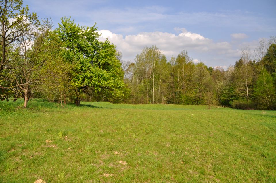 Działka Dobczyce