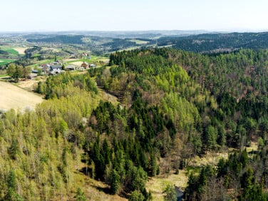 Działka leśna Jastrzębia