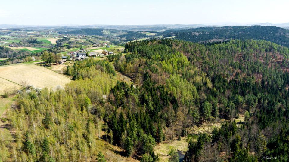 Działka leśna Jastrzębia