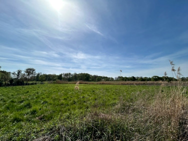 Działka budowlano-rolna Raków sprzedam