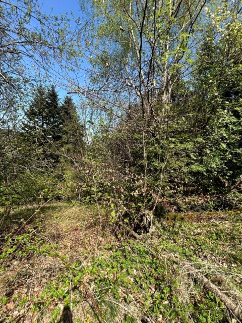 Działka budowlana Wadowice