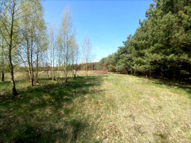 Działka budowlana Drogoszowice