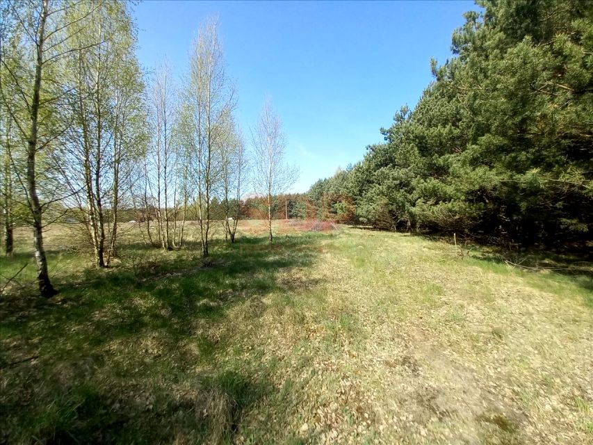 Działka budowlana Drogoszowice