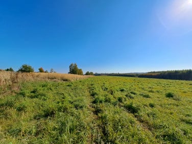 Działka rolna Wola Kalinowska