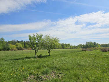 Działka Malcanów