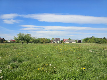 Działka Malcanów