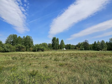 Działka Malcanów