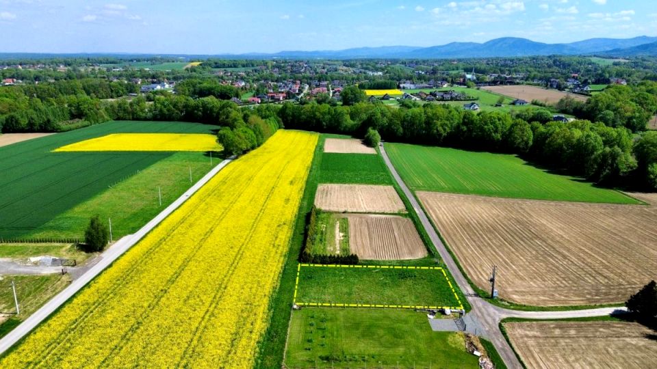 Działka Pisarzowice
