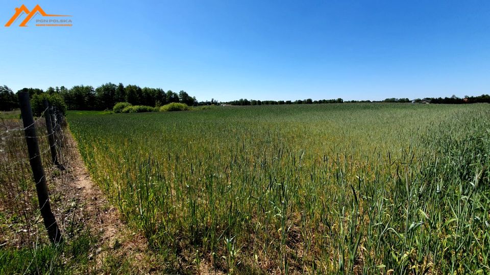 Działka Izdebno