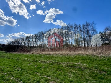 Zalesiona działka Rzeszów