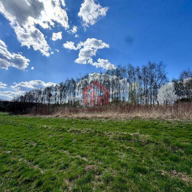 Zalesiona działka Rzeszów