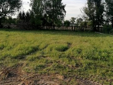 Działka budowlana Błonie