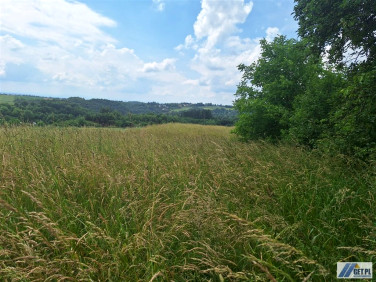 Działka inwestycyjna Wielka Wieś