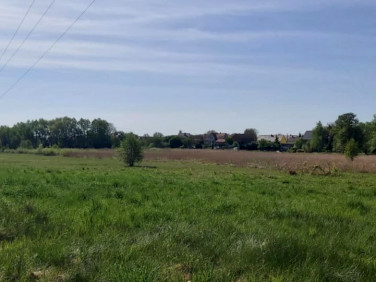 Działka inwestycyjna sprzedam