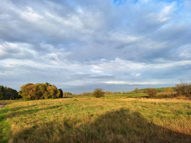 Działka budowlana Dębki