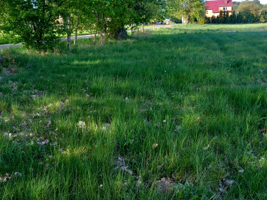 Działka Szumiąca