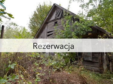 Działka Grzebienie