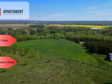 Działka budowlana Opalenie