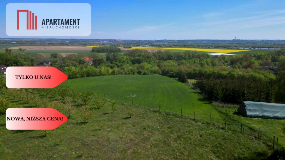 Działka budowlana Opalenie