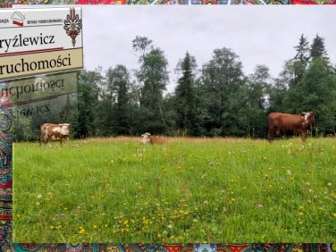 Działka Stare Bystre
