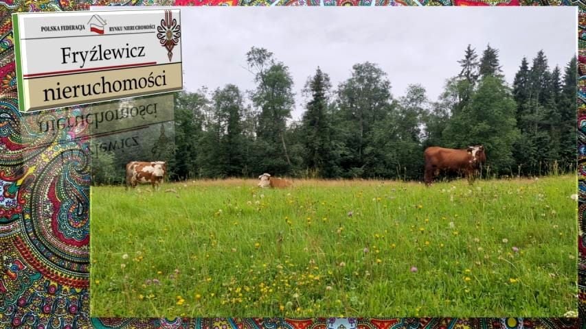 Działka Stare Bystre