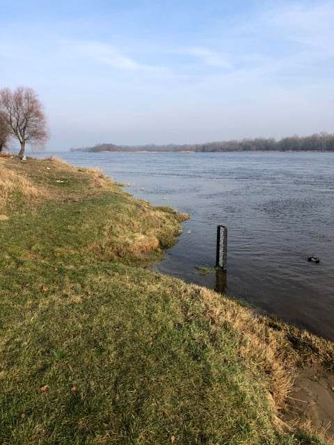 Działka budowlano-rolna Miączyn