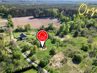 Działka inna Orzewo