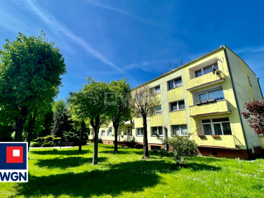 Mieszkanie Jaworzyna Śląska