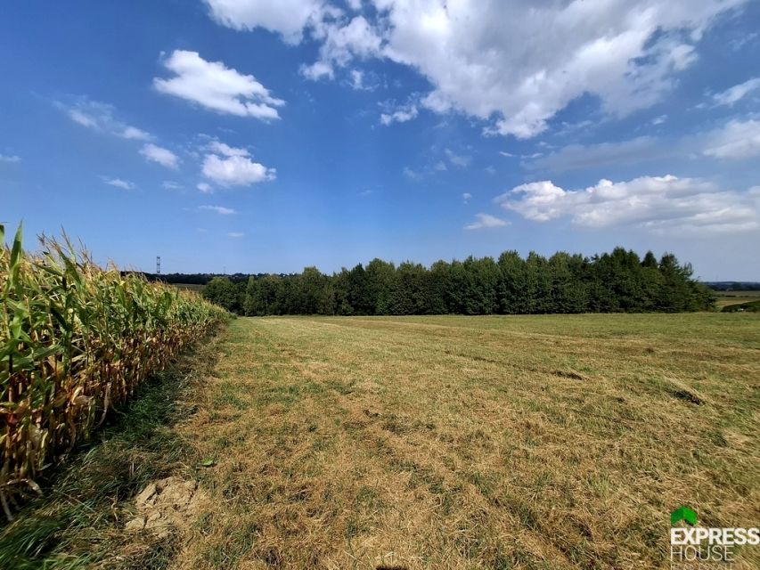 Działka budowlano-rolna Rudzica