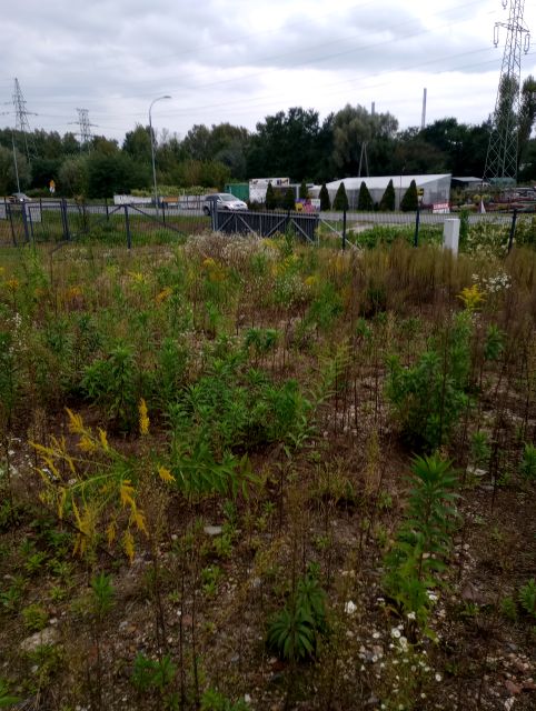 Ogrodzona działka wynajmę