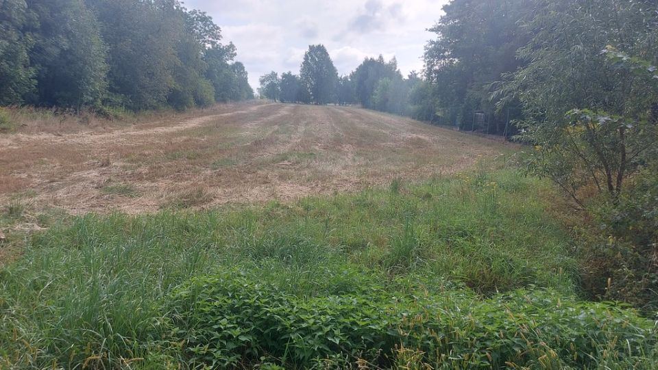 Działka budowlana Chościszowice