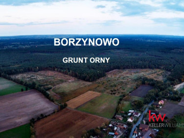 Działka Borzynowo