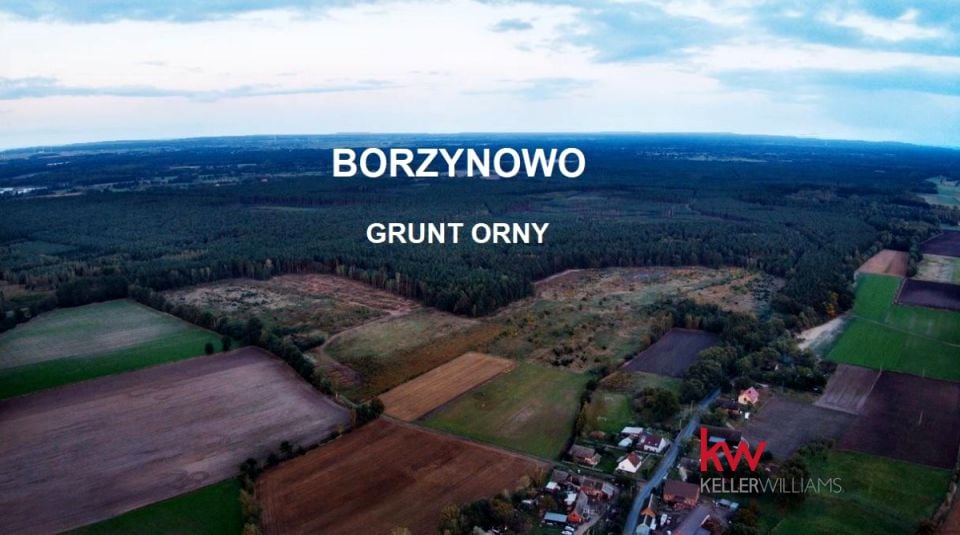 Działka Borzynowo