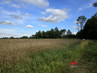 Działka inna Grędzina