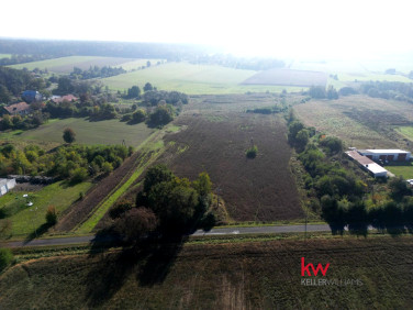 Działka Ostrowina