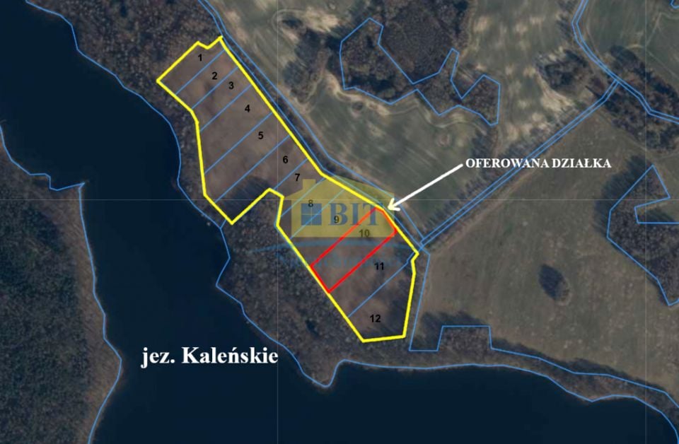 Zdjęcie 2