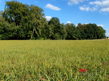 Działka Czechowice-Dziedzice