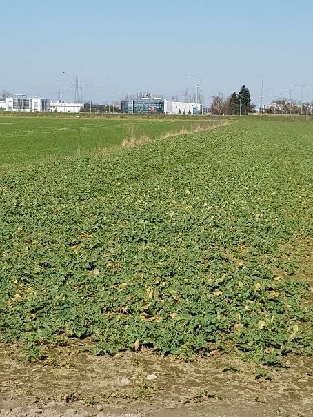 Działka przemysłowa Pobiedziska sprzedam